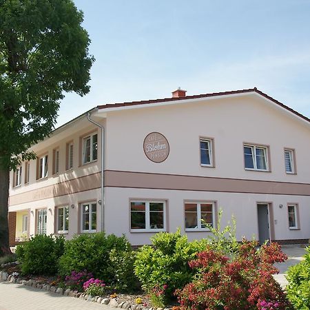 Cafe Und Pension Blohm Greifswald Extérieur photo